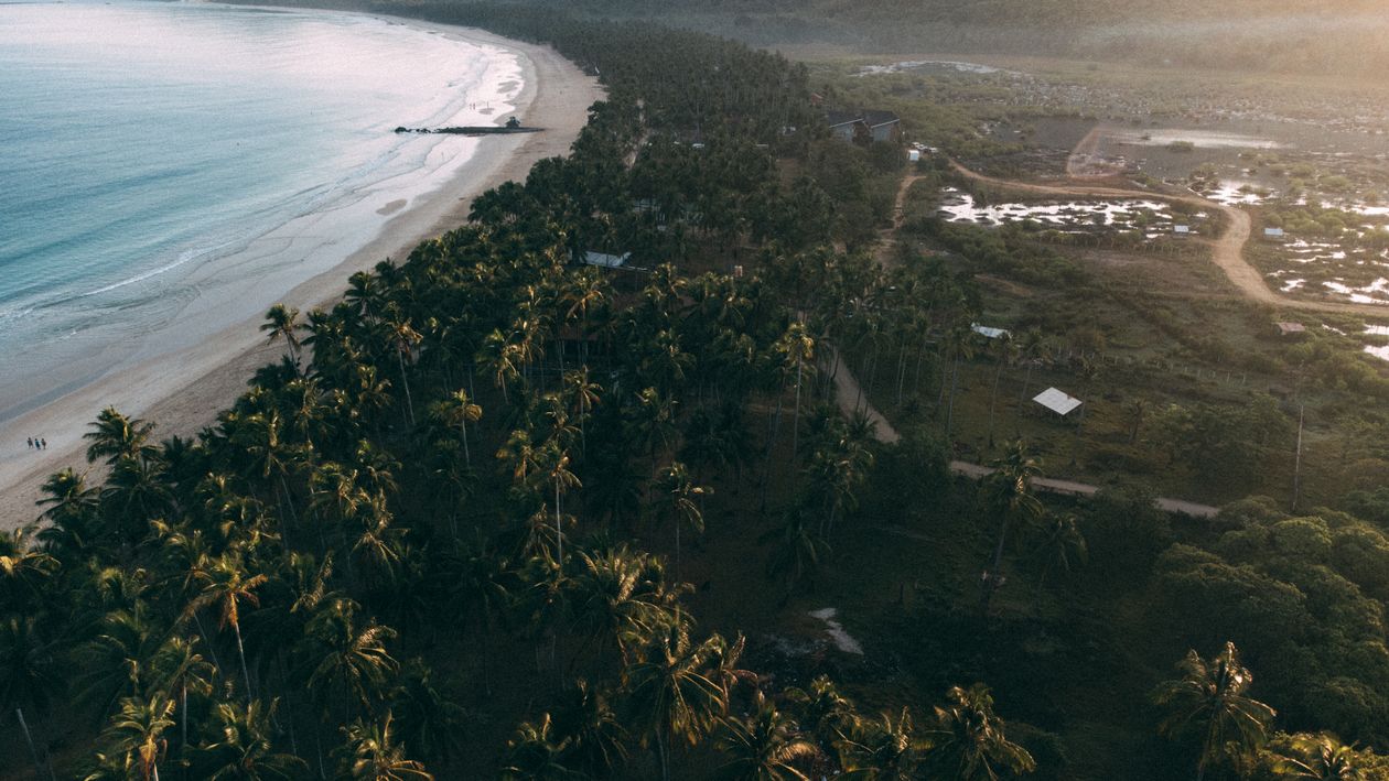 Aerial view of a long curved beach backed by coconut palms near El Nido, Palawan