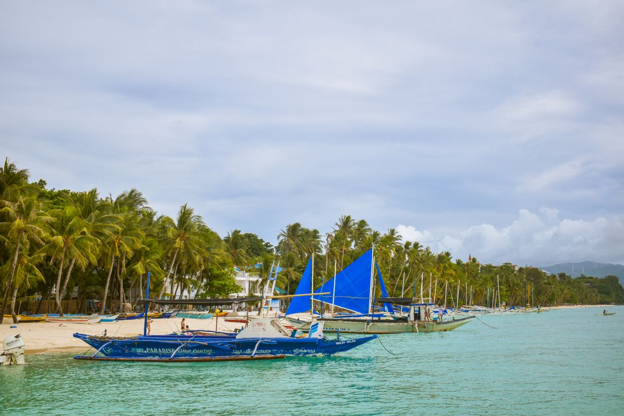 Blue-sailed boats and coconut palms along the shore on Boracay