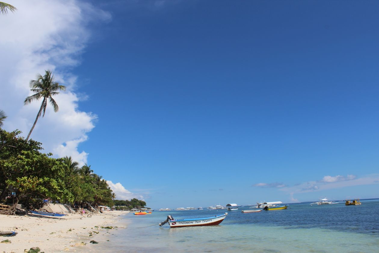 White sand, palms and small boats in shallow blue water off a beach on Panglao Island, Bohol
