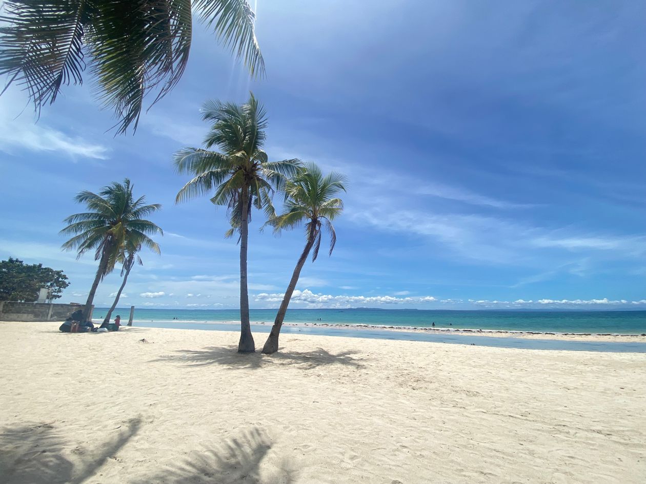 Coconut palms leaning over a white sand beach with turquoise water and blue sky in the Central Visayas